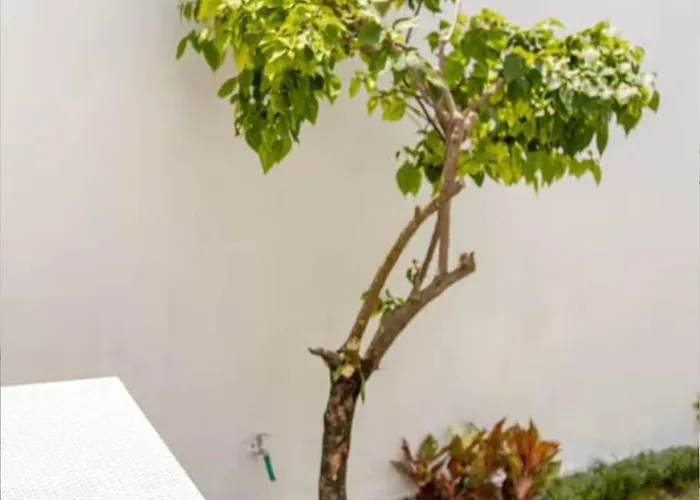Peko - 1 Bed - Seminyak